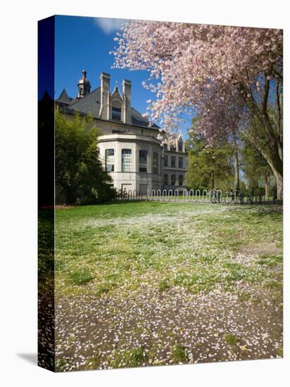 Denny Hall with Blooming Cherry Trees, University of Washington, Seattle, Washington, USA-Jamie & Judy Wild-Premier Image Canvas