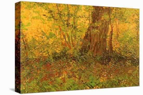 Dense Undergrowth, 1887-Vincent van Gogh-Premier Image Canvas