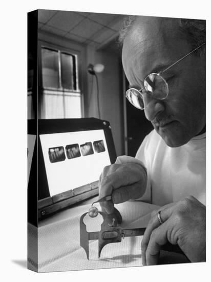 Dentist Dr. Harland Measuring Tooth to Be Used in Medical Dentistry-J^ R^ Eyerman-Premier Image Canvas