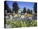 Denver Botanic Gardens, Denver, CO-Sherwood Hoffman-Premier Image Canvas