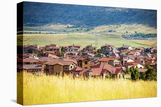 Denver Metro Residential Area-duallogic-Premier Image Canvas