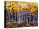 Depth of Autumn-Robert Moore-Stretched Canvas