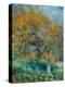 Der Birnbaum (Le Poirier). Um 1870-Pierre-Auguste Renoir-Premier Image Canvas