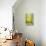 Der Gelb-Grune-Paul Klee-Premier Image Canvas displayed on a wall