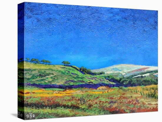 Derbyshire Landscape, 1999-Trevor Neal-Premier Image Canvas