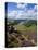 Derwent Edge, Ladybower Reservoir, and Purple Heather Moorland in Foreground, Peak District Nationa-Neale Clark-Premier Image Canvas