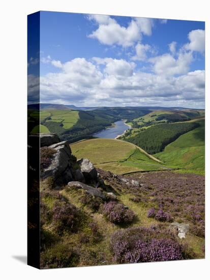 Derwent Edge, Ladybower Reservoir, and Purple Heather Moorland in Foreground, Peak District Nationa-Neale Clark-Premier Image Canvas