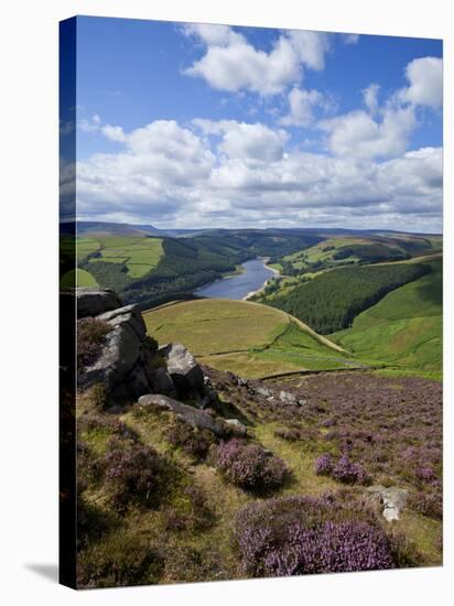 Derwent Edge, Ladybower Reservoir, and Purple Heather Moorland in Foreground, Peak District Nationa-Neale Clark-Premier Image Canvas