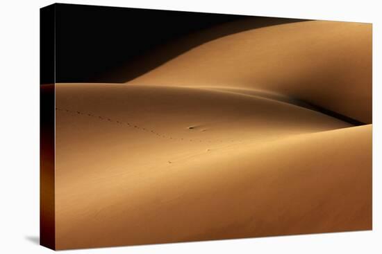 Desert and the Human Torso-Ebrahim Bakhtari Bonab-Premier Image Canvas