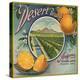 Desert Brand - Phoenix, Arizona - Citrus Crate Label-Lantern Press-Stretched Canvas