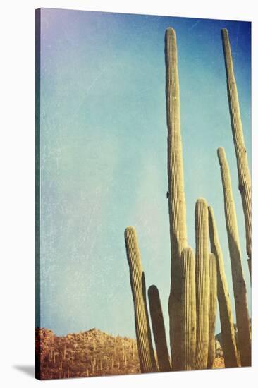 Desert Cactus With An Artistic Texture Overlay-pdb1-Stretched Canvas