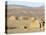 Desert Camp of Afar Nomads, Afar Triangle, Djibouti, Africa-Tony Waltham-Premier Image Canvas