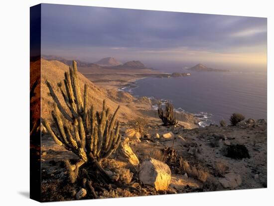 Desert Coast and Pacific Ocean, Atacama Desert, Pan de Azucar National Park,Chile-Andres Morya-Premier Image Canvas