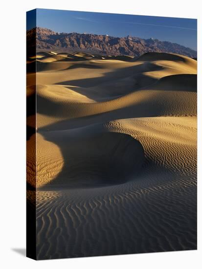 Desert Dunes, Death Valley National Park, California, USA-Adam Jones-Premier Image Canvas