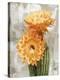 Desert Flower - Duet-Tania Bello-Stretched Canvas