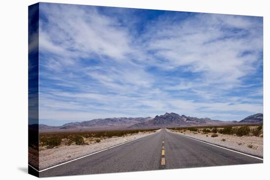 Desert Highway in Nevada-Paul Souders-Premier Image Canvas