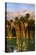 Desert Island Golf and Country Club, Palm Springs, California, USA-Richard Duval-Premier Image Canvas