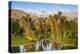 Desert Island Golf and Country Club, Palm Springs, California, USA-Richard Duval-Premier Image Canvas