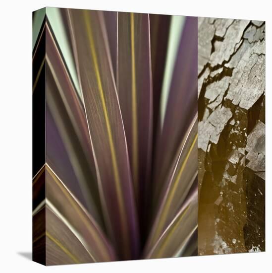 Desert Jewels II-Sidney Aver-Stretched Canvas