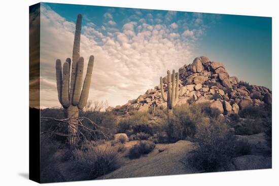 Desert Landscape in Scottsdale, Phoenix, Arizona Area - Image Cross Processed-BCFC-Premier Image Canvas