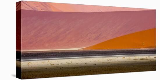 Desert landscape, Namibia, Africa-Art Wolfe Wolfe-Premier Image Canvas