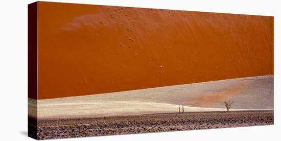 Desert landscape, Namibia, Africa-Art Wolfe Wolfe-Premier Image Canvas
