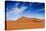 Desert Life-Hesham Alhumaid-Premier Image Canvas