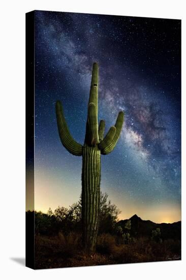 Desert Lights I-David Drost-Premier Image Canvas