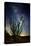 Desert Lights II-David Drost-Premier Image Canvas