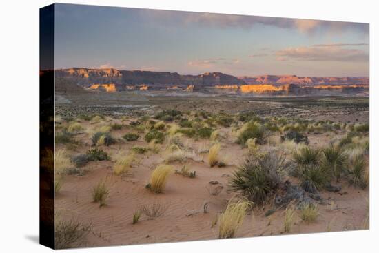 Desert Near Wahweap, Glen Canyon National Recreation Area, Utah, Usa-Rainer Mirau-Premier Image Canvas