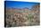 Desert Oasis-Janice Sullivan-Premier Image Canvas