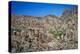 Desert Oasis-Janice Sullivan-Premier Image Canvas