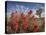 Desert Paintbrush Blooming in Front of Joshua Tree, Mojave National Preserve, California, Usa-Rob Sheppard-Premier Image Canvas