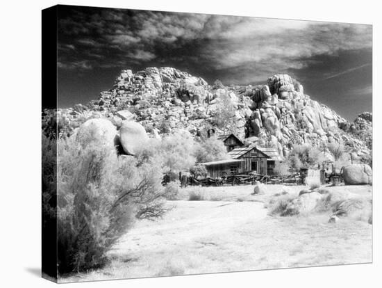 Desert Queen Ranch, Joshua Tree National Park, California, USA-Janell Davidson-Premier Image Canvas