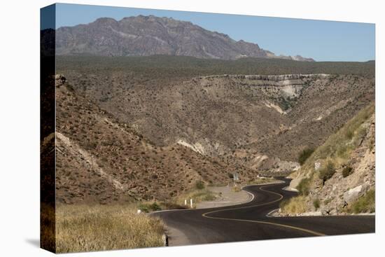 Desert road near Santa Rosalia, Baja California, Mexico, North America-Tony Waltham-Premier Image Canvas