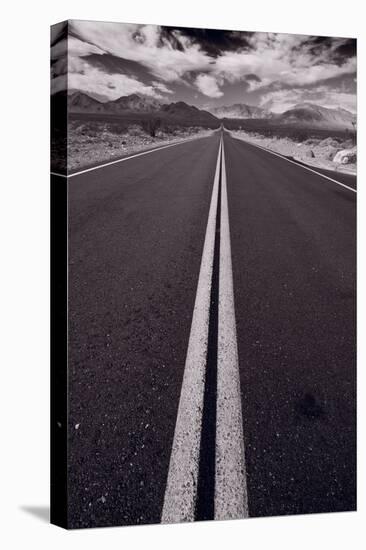 Desert Road Trip BW-Steve Gadomski-Premier Image Canvas
