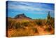 Desert Scene in Scottsdale, AZ-null-Stretched Canvas