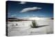 Desert Scene in USA-Jody Miller-Premier Image Canvas