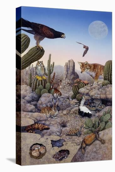 Desert Scene with Falcon and Cactus, a Fox and Other Desert Animals-Tim Knepp-Premier Image Canvas