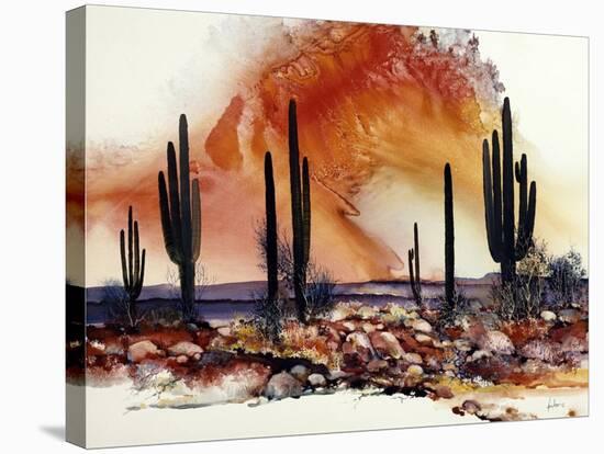Desert Sundance-Adin Shade-Stretched Canvas