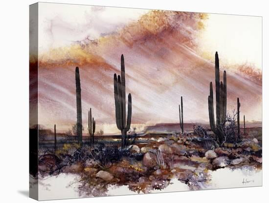 Desert Twilight-Adin Shade-Stretched Canvas