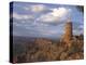 Desert View Watch Tower on the East Rim of Grand Canyon NP, Arizona-Greg Probst-Premier Image Canvas