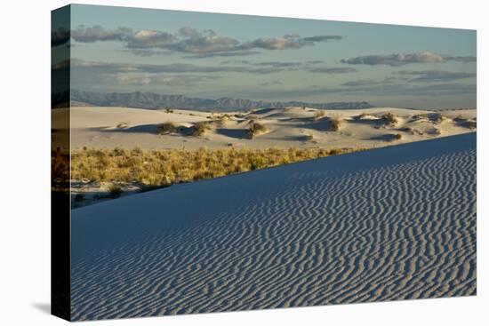 Desert Vista, Cloudy, White Sands Nm, Alamogordo, New Mexico-Michel Hersen-Premier Image Canvas