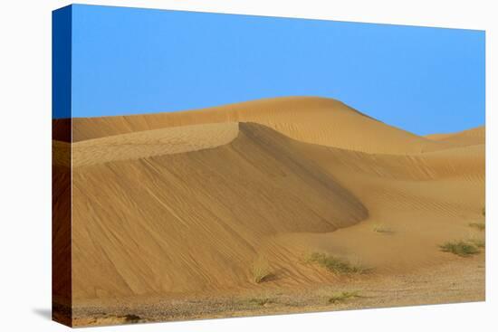 Desert with sand. Abu Dhabi, United Arab Emirates.-Tom Norring-Premier Image Canvas