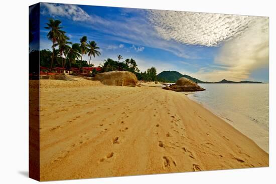 Deserted Morning Beach With Golden Sand And Footprints-vitalytitov-Premier Image Canvas
