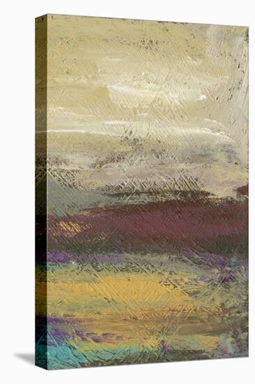 Desertscape II-Lisa Choate-Stretched Canvas