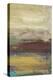 Desertscape II-Lisa Choate-Stretched Canvas