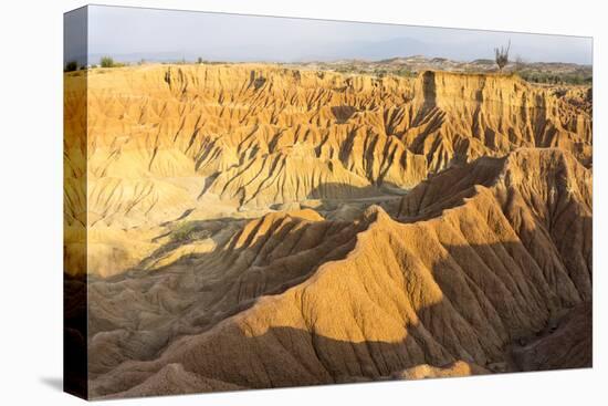 Desierto de Tatocoa (Tatacoa Desert), Colombia, South America-Peter Groenendijk-Premier Image Canvas