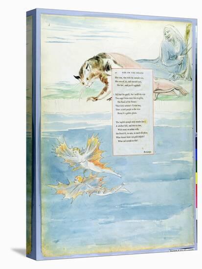 Design 10 for 'Ode on the Death of a Favourite Cat' from 'The Poems of Thomas Gray'-William Blake-Premier Image Canvas