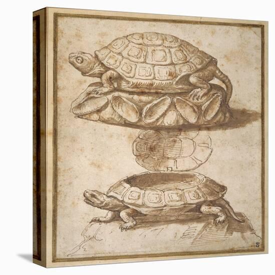 Design for a Lidded Box in the Shape of a Tortoise, Shown Open and Shut-Giulio Romano-Premier Image Canvas